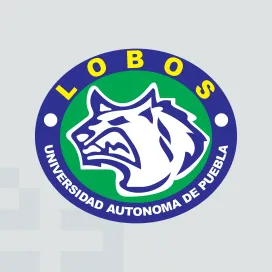 Lobos uap